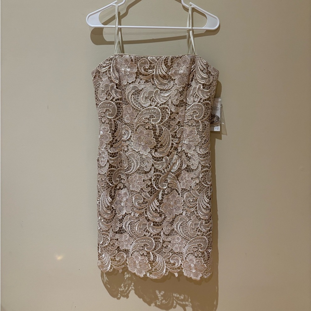 Adrianna Papell Boutique Cream Lace Mini Dress